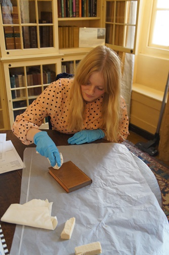 Cleaning books in the library collection